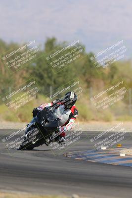 media/Nov-11-2023-SoCal Trackdays (Sat) [[efd63766ff]]/Turn 2 Set 2 (1145am)/